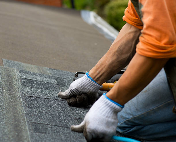 Best Flat Roof Repair Services  in Sherrelwood, CO