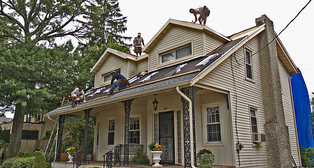 Best Roof Maintenance Services  in Sherrelwood, CO