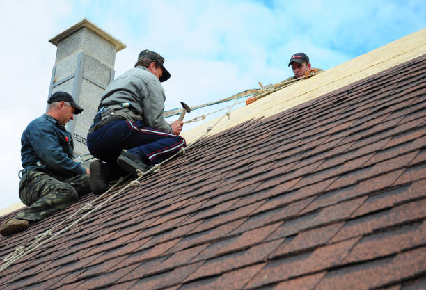 Best Commercial Roofing Services  in Sherrelwood, CO